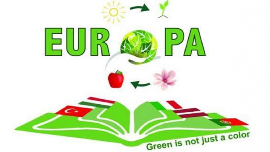 GREEN İS NOT JUST A COLOR